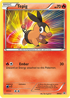 Tepig