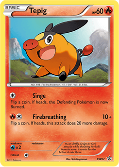 Tepig