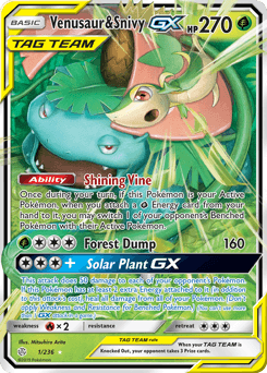 Venusaur & Snivy-GX